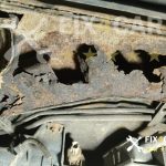 Коррозия кузова Ford Escape 2005